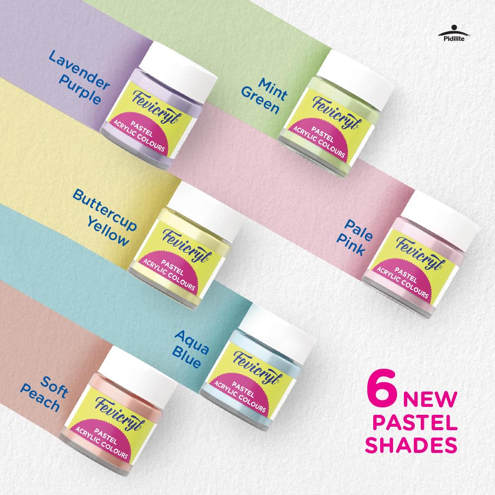 Fevicryl Multi Surface Pastel Acrylic Colours Kit 6 Shades x 15ml Ideal for Wood Glass Canvas Metal Plastic Mould it for Hobbyists Artists DIY Art and Craft
