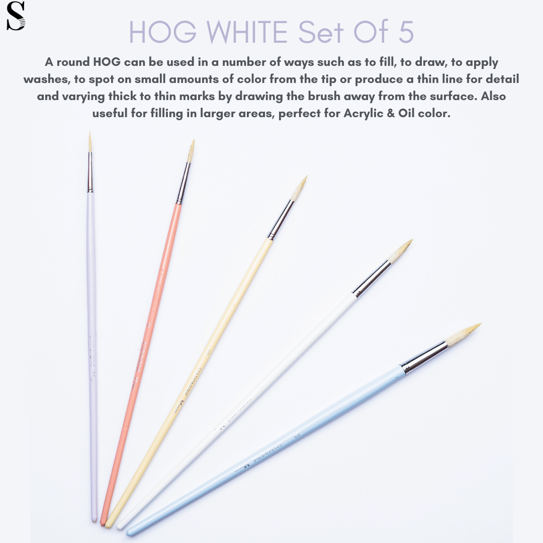 Stationerie Hog Brush Set Of 5 Long Handle