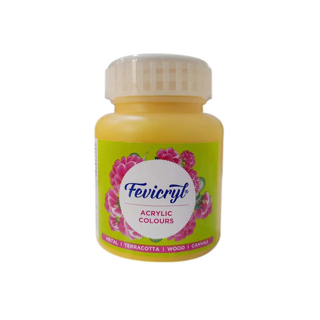 Pidilite Fevicryl Acrylic Colours 100ml