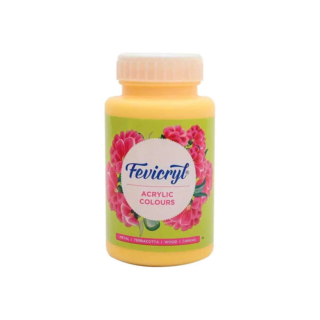 Pidilite Fevicryl Acrylic Colours 500ml