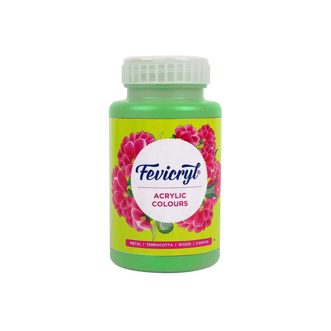 Pidilite Fevicryl Acrylic Colours 500ml
