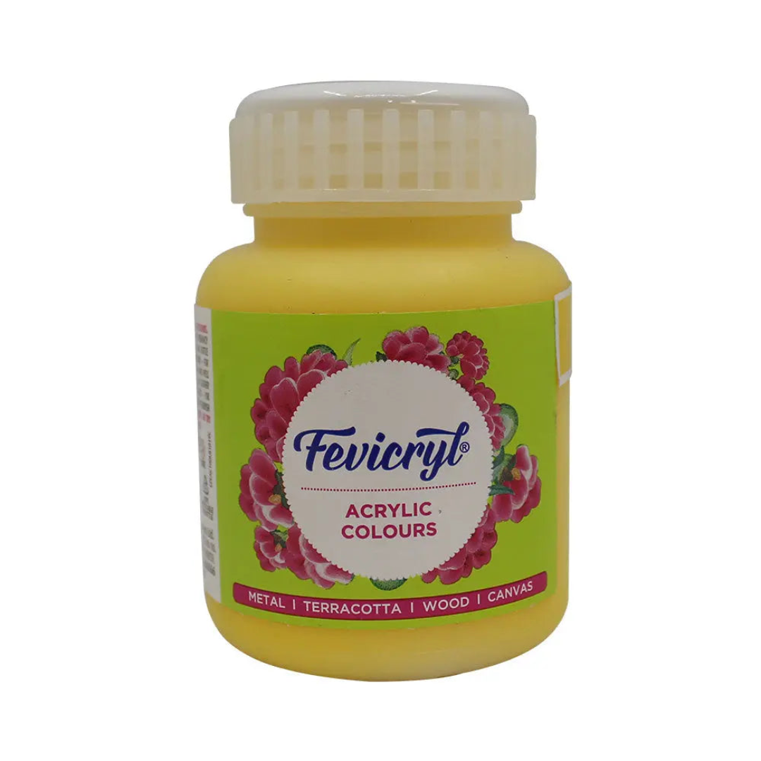 Pidilite Fevicryl Acrylic Colours 100ml