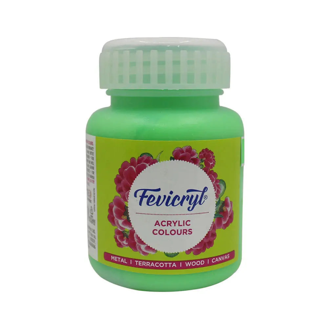 Pidilite Fevicryl Acrylic Colours 100ml