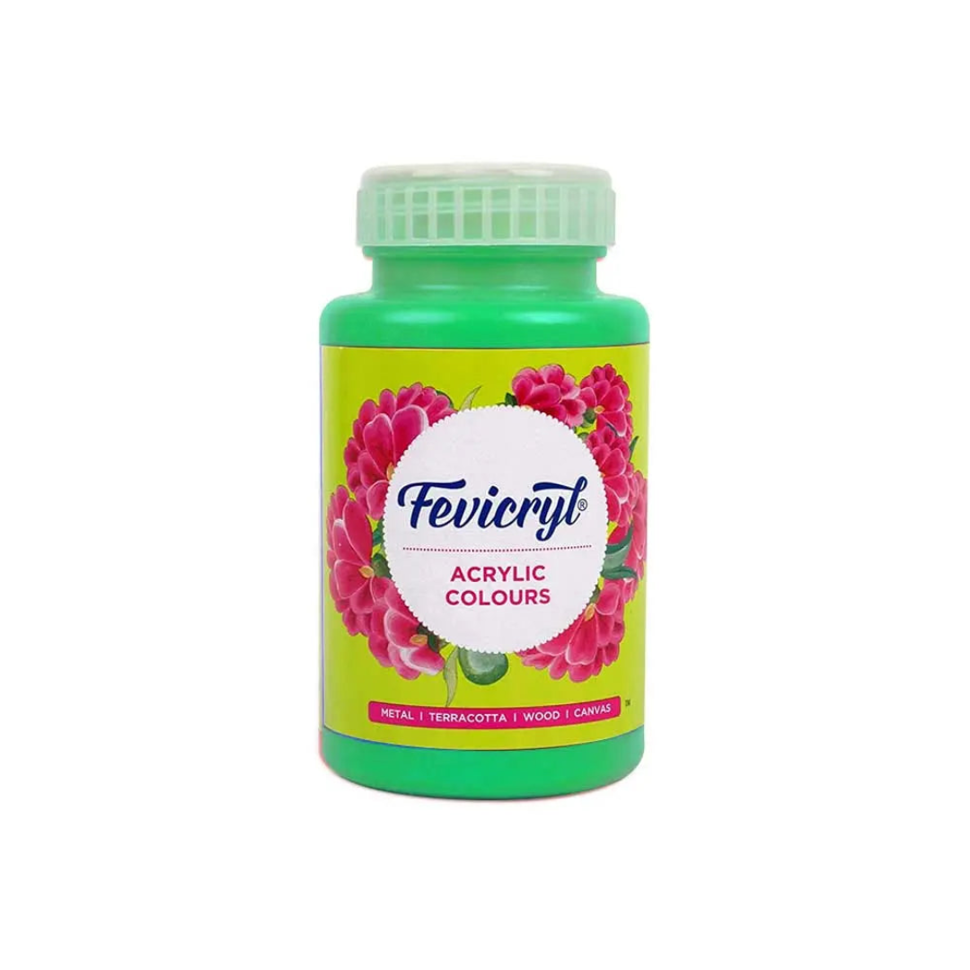 Pidilite Fevicryl Acrylic Colours 500ml