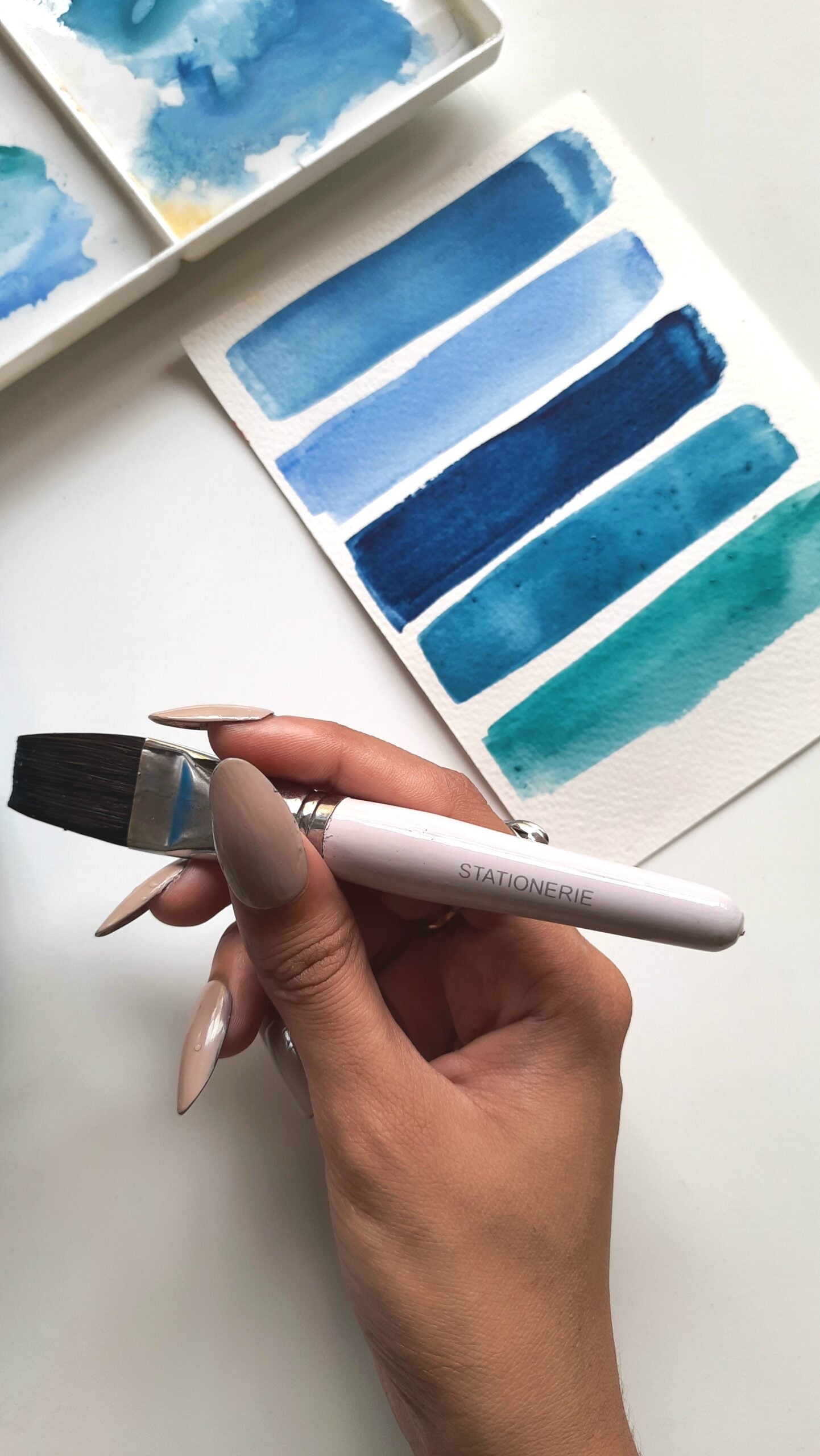 Stationerie Chubby Brushes | Ergonomically Designed for Kids & Multi Purpose Usage