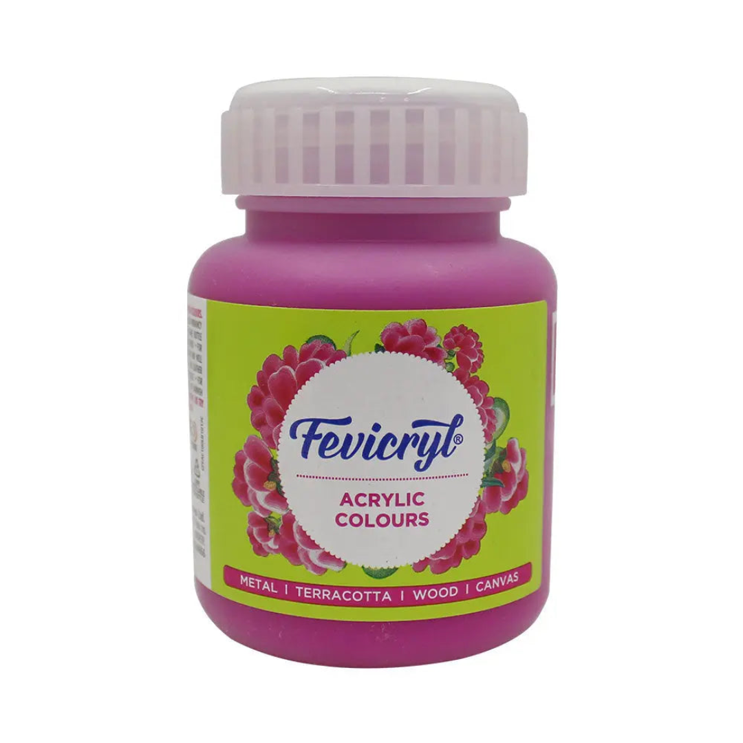 Pidilite Fevicryl Acrylic Colours 100ml