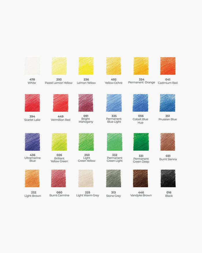 Camlin  Artist  Colour  Pencils  24