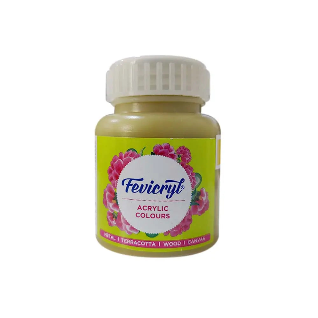 Pidilite Fevicryl Acrylic Colours 100ml