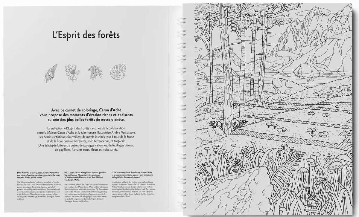 Caran d'Ache L'Esprit des Forets A4 Colouring Book