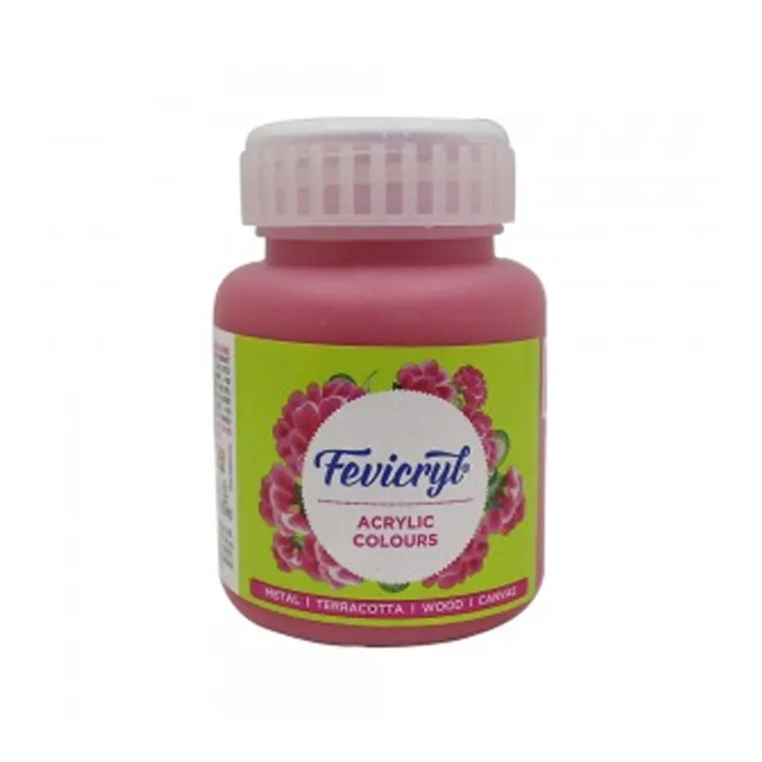 Pidilite Fevicryl Acrylic Colours 100ml