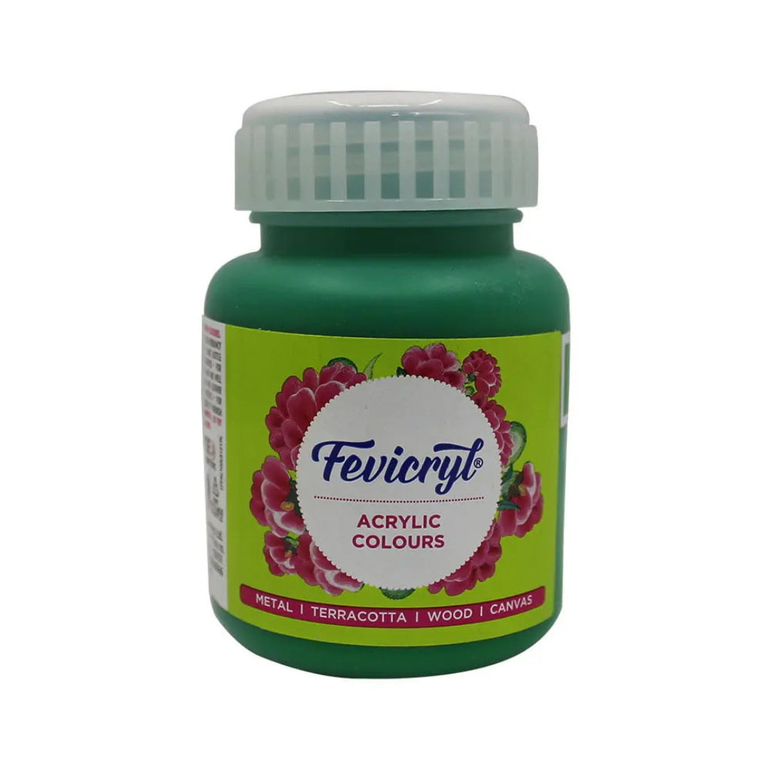 Pidilite Fevicryl Acrylic Colours 100ml