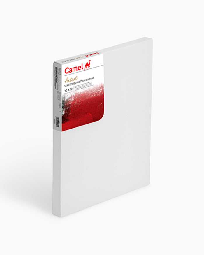 Camel stretched canvas 10" x 12" (25 x 30 cm), pack of 6