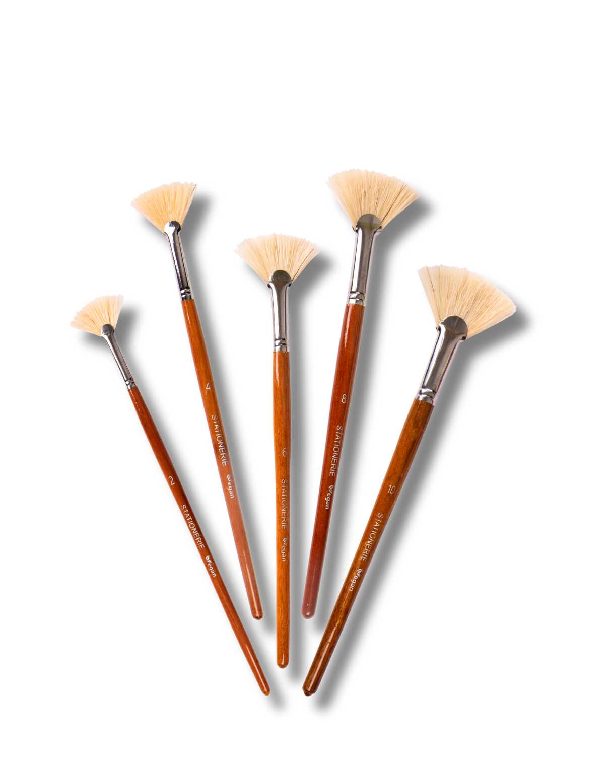 Stationerie Fan Brush Set Of 5 Chungking Hog White