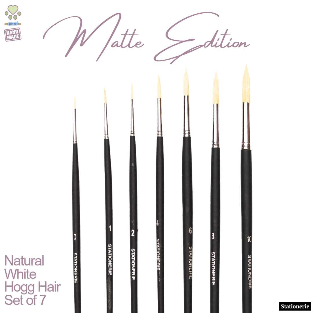 Stationerie Artists' Round Hogg White Set Of 7