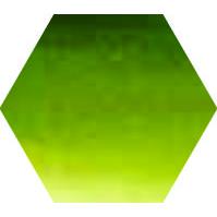 Sennelier L'Aquarelle 21 ml – Olive Green