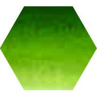 Sennelier L'Aquarelle 21 ml – Sap Green