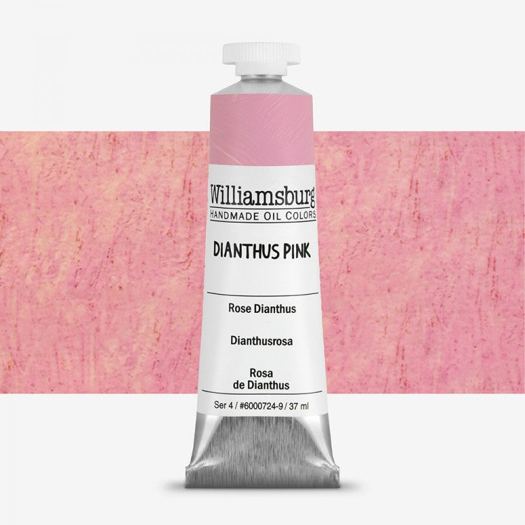 Williamsburg Dianthus Pink Oil Colour 37 ml